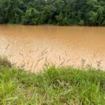 Pasto com lago em Indaiatuba