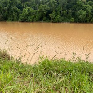 Pasto com lago em Indaiatuba